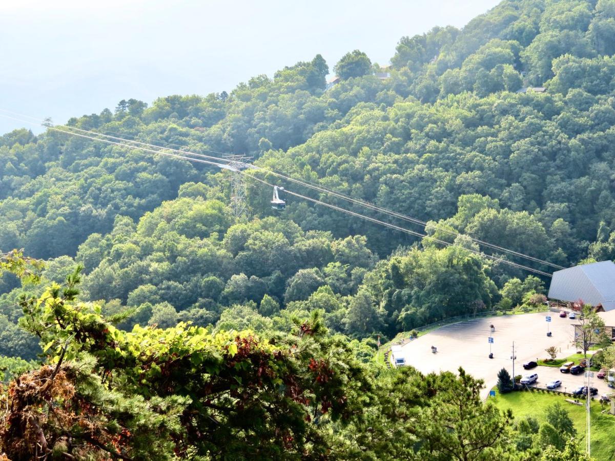 Million Dollar Views! 4 Bedroom, Sleeps 9, Close To National Park And 5 Mi To Gatlinburg! ภายนอก รูปภาพ